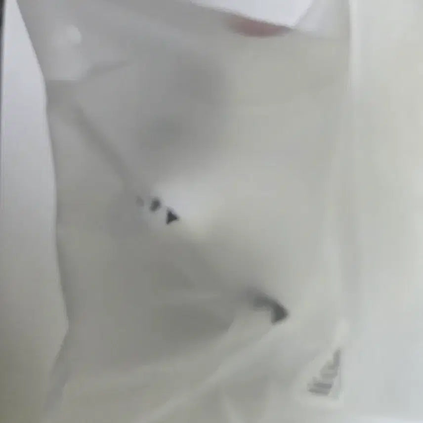 [BUNJANG] Gwedam Chulgeun "Desk Lizard Friend" Plush Doll / 괴담출근 괴출 책상 위 도마뱀 친구 인형