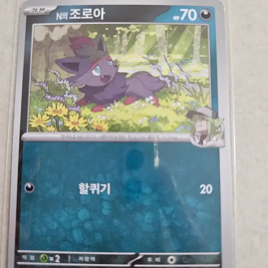 [BUNJANG] Pokemon Zoroark Card Deck Box / [200원]N의 조로아 포켓몬 카드 덱소스