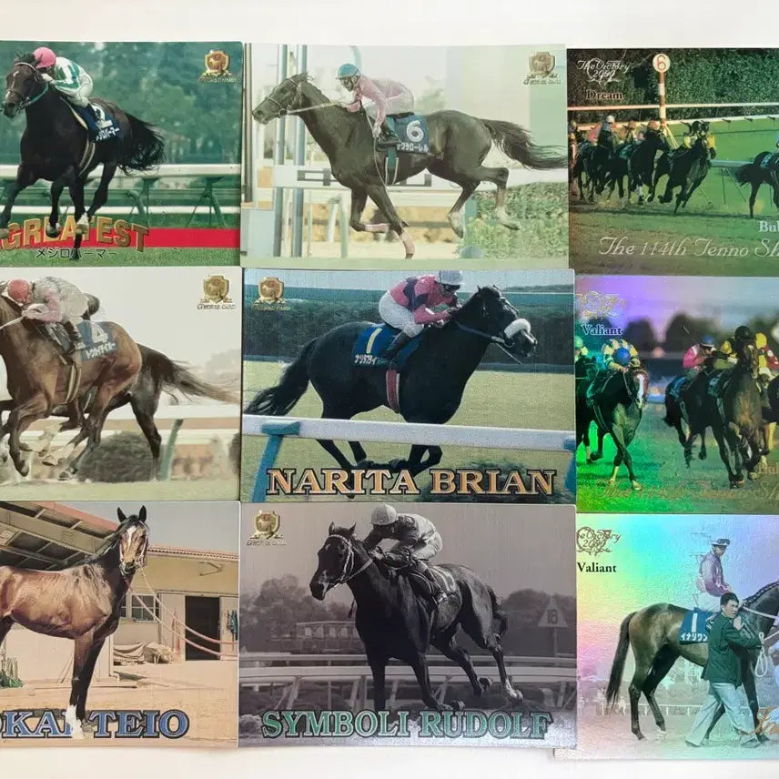 [BUNJANG] Uma Musume Original Horse Racehorse Trading Cards (Pre-2000s) / 우마무스메 원본마 경주마 트레이딩카드 3