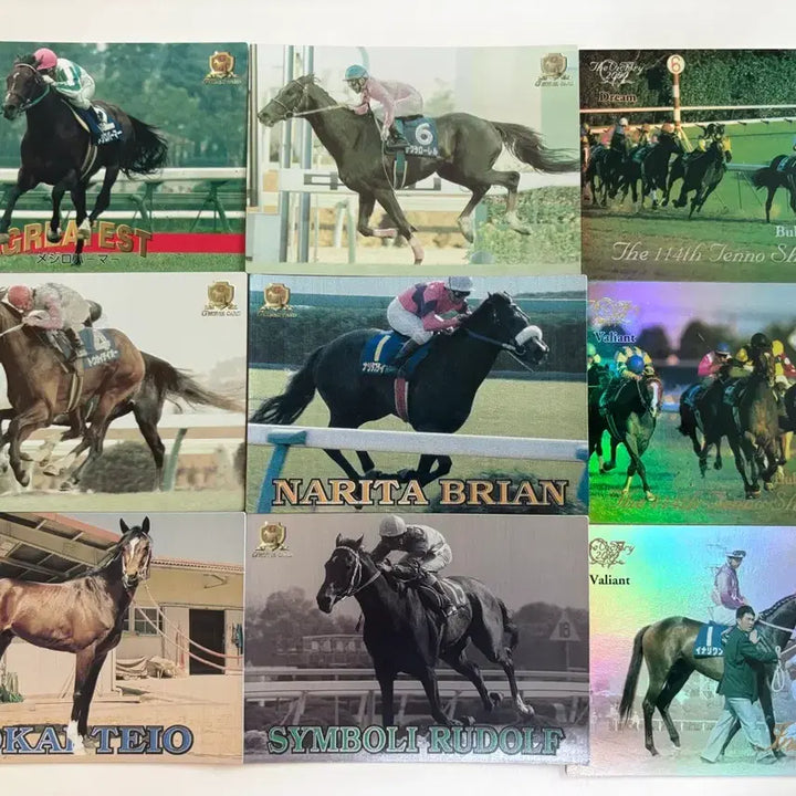 [BUNJANG] Uma Musume Original Horse Racehorse Trading Cards (Pre-2000s) / 우마무스메 원본마 경주마 트레이딩카드 3