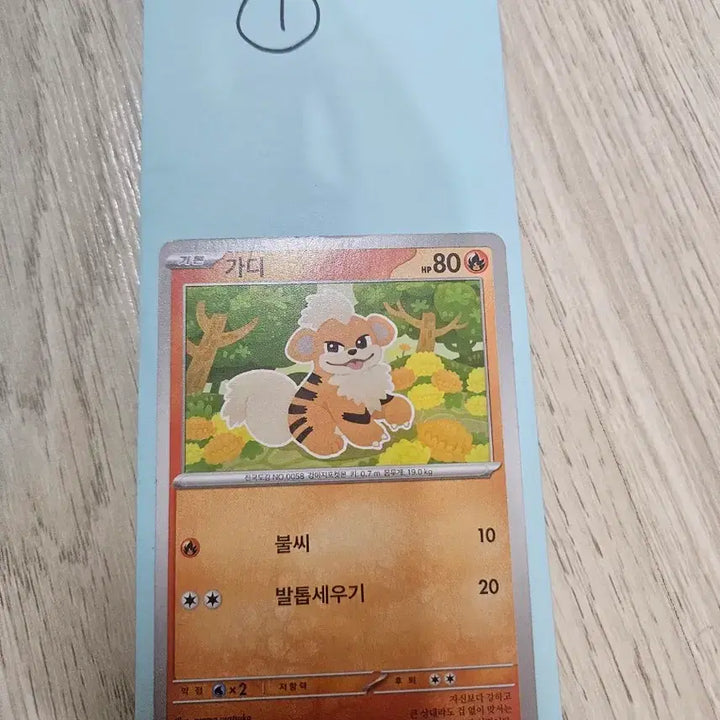 [BUNJANG] Pokemon Card Handmade Pack / 포켓몬카드(수제팩)