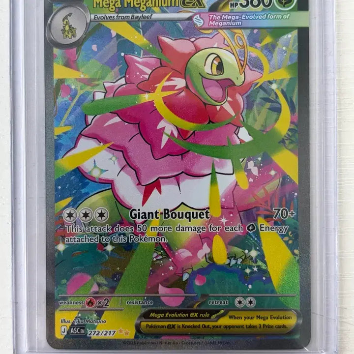 [BUNJANG] Pokemon Card North American Version Mega Meganium EX SAR / 포켓몬 카드 북미판 메가 메가니움 EX sar
