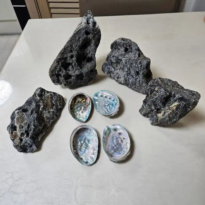 [BUNJANG] Natural Stones and Abalone Shells Set / 자연석 + 전복 껍데기
