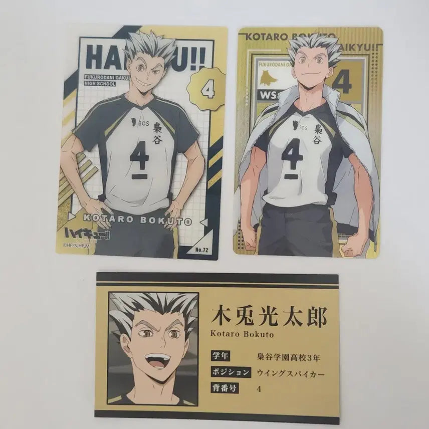 [BUNJANG] Haikyuu Bokuto Card Bundle Set / 하이큐 보쿠토 카드 일괄