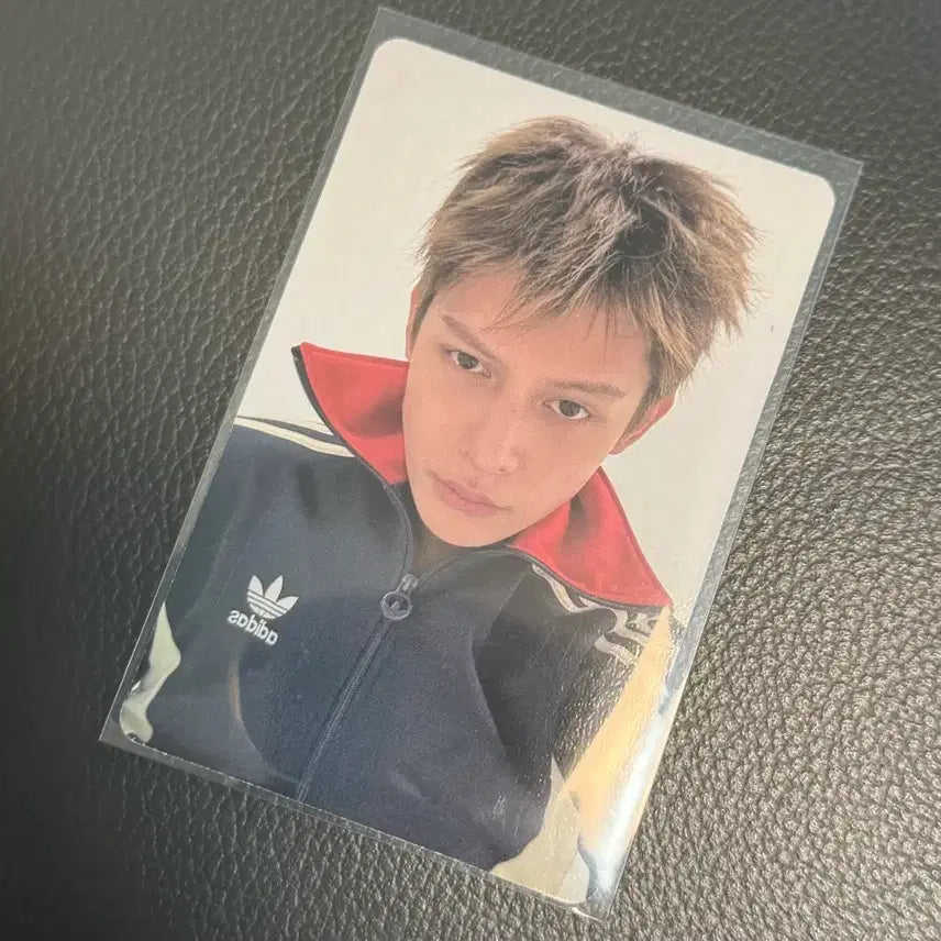 [BUNJANG] Curtis GreenGreen James Photocard / 코르티스 그린그린 제임스 포카