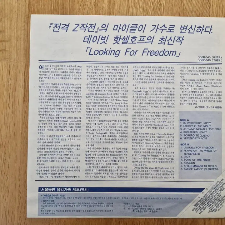 [BUNJANG] David Hasselhoff Looking For Freedom LP / [D] David Hasselhoff - Looking For Freedom LP