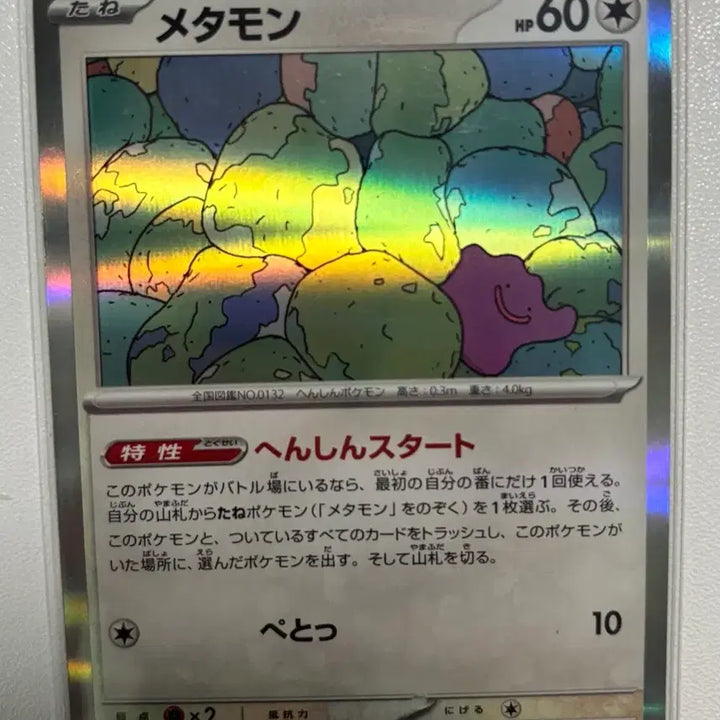 [BUNJANG] Ditto Set (JP, KR) / 메타몽 일판,한판 세트