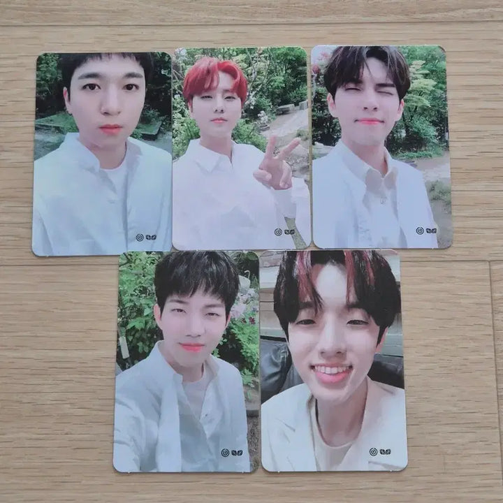 [SOLD OUT] [BUNJANG] Day6 2nd You Made My Day 2019 Photocard Set / 데이식스 팬미팅 포토카드 세트 양도