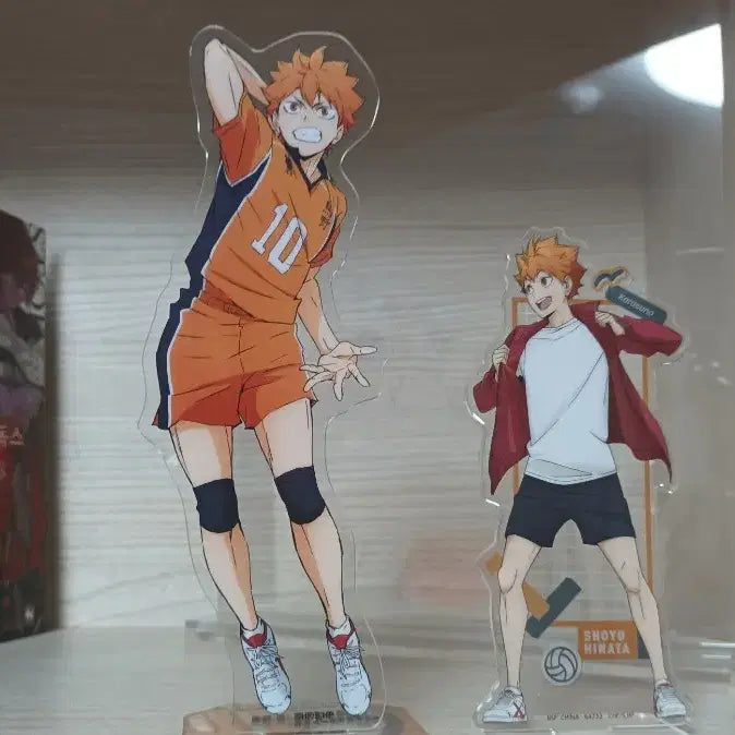 [BUNJANG] Haikyuu!! Shoyo Hinata Acrylic Standee Bundle / 하이큐 히나타 쇼요 아크릴