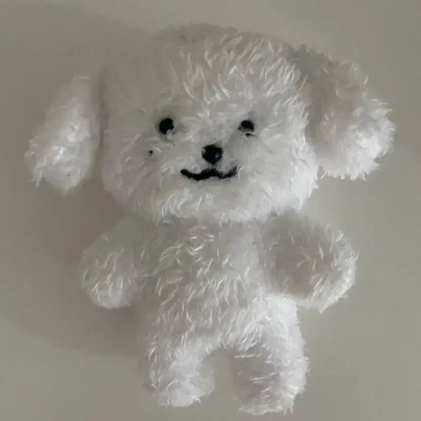 [BUNJANG] NCT Dream Jeno "Jenmoongie" Doll / 엔시티드림 제노 인형 젠뭉이