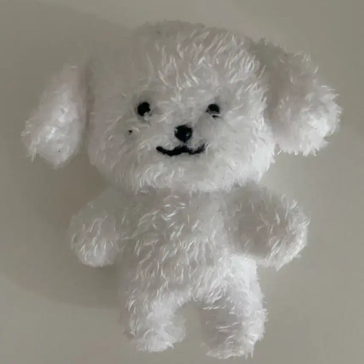 [BUNJANG] NCT Dream Jeno "Jenmoongie" Doll / 엔시티드림 제노 인형 젠뭉이