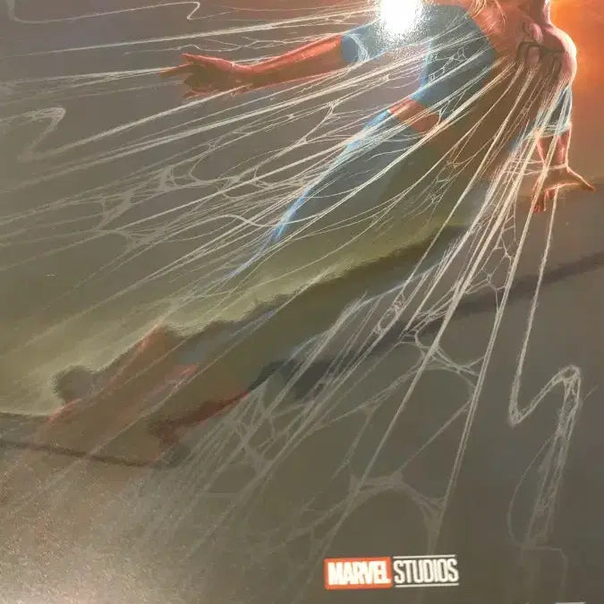 [BUNJANG] Spider-Man: Brand New Day CGV Special Theater Poster &amp; TTT Goods / 스파이더맨 브랜드 뉴 데이 CGV 특별관 포스터 &amp; TTT