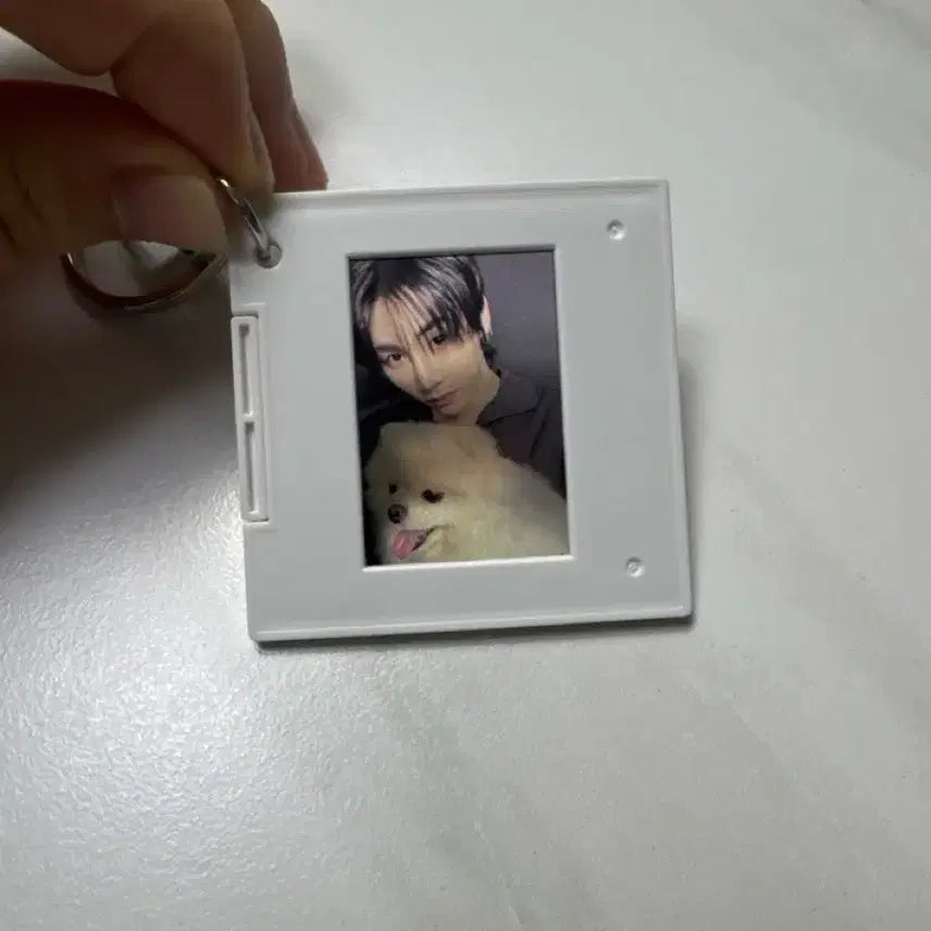 [BUNJANG] BOYNEXTDOOR Taesan Photocard POB Bundle Set / 보넥도 한태산 포카 (특전 있음!! 일괄로 다 드림