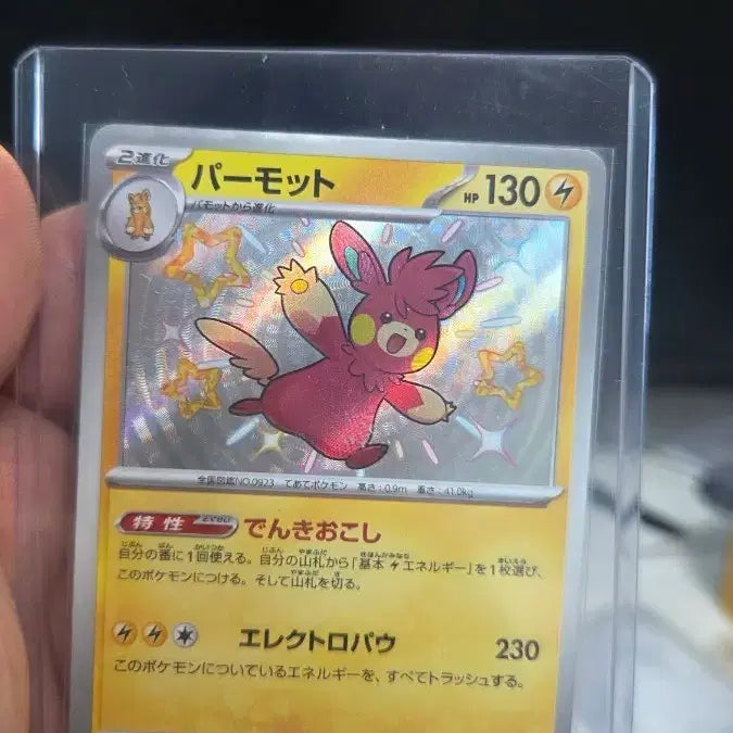 [BUNJANG] Pokemon Card Shiny Permit Rare / 포켓몬 카드 이로치 퍼밋트