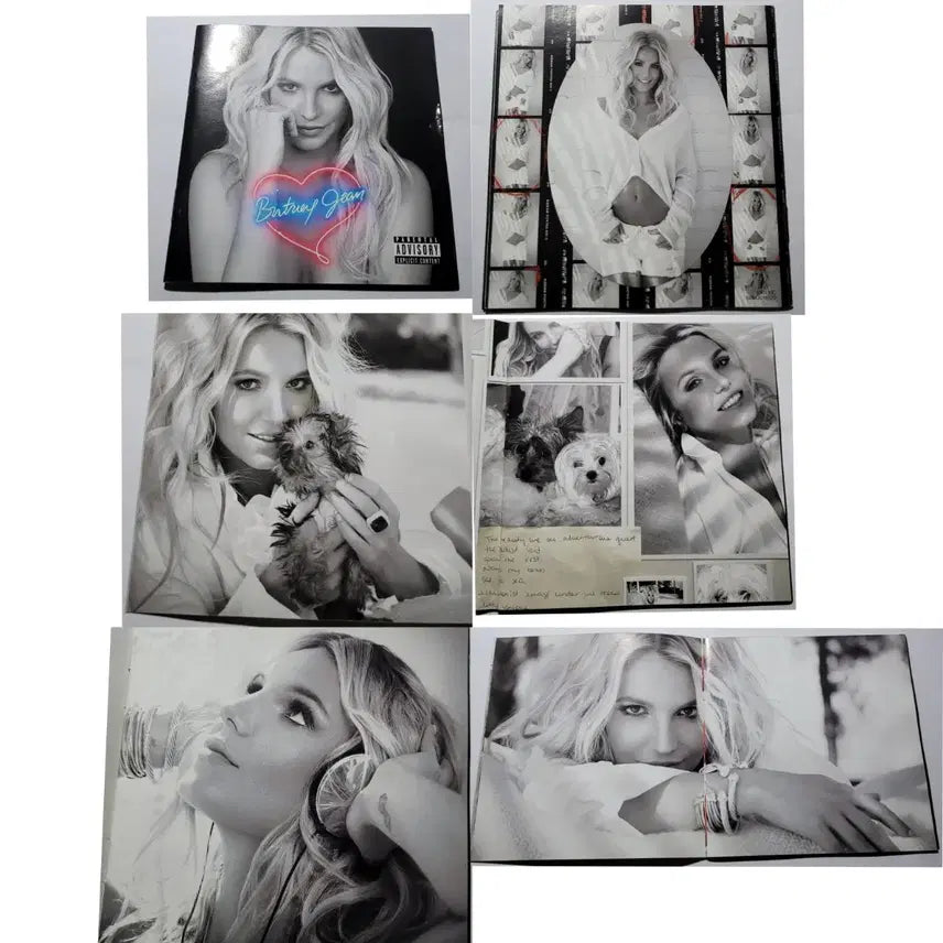 [BUNJANG] Britney Spears "Britney Jean" Deluxe Edition CD / 브리트니 스피어스(Britney Spears) "Britney Jean" 8집 시디 [팝송,CD,앨범]