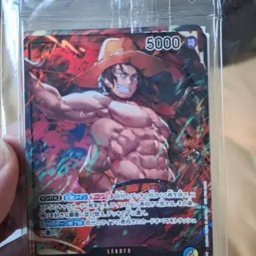 [BUNJANG] One Piece Card Monkey D. Luffy, Sabo, Ace / 원피스 카드 몽키 D 루피 사보 에이스