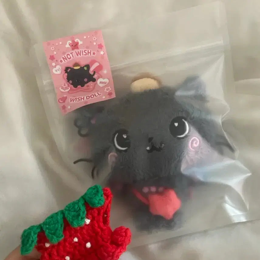 [BUNJANG] WishDoll Kuri Doll with Outfit / 위시돌 쿠리