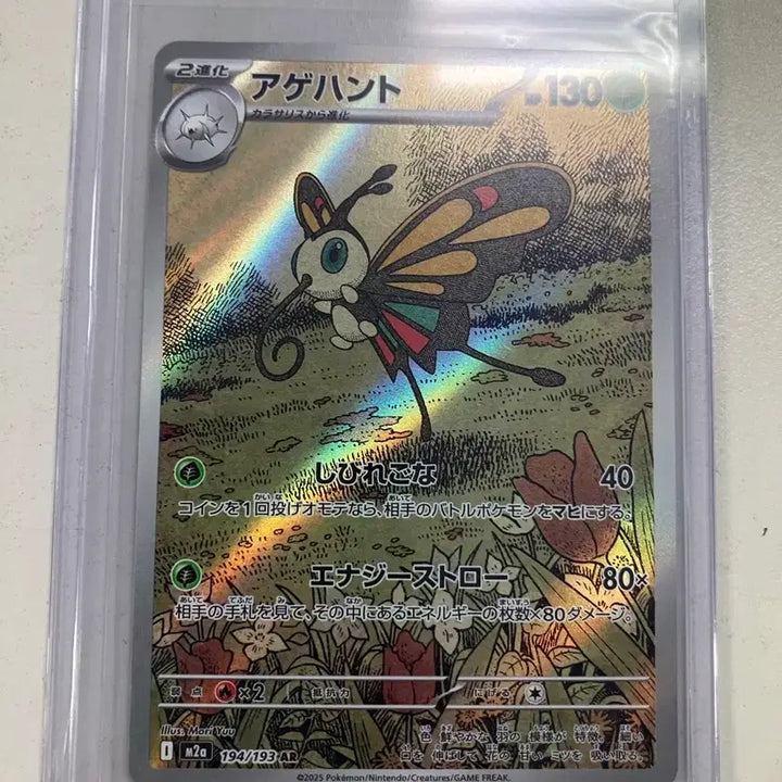 [BUNJANG] Pokemon TCG Beautifly AR Mega Dream ex (Japanese Version) Bundle Set / 포켓몬카드 TCG 뷰티플라이 AR 메가 드림 ex (일어판) 일괄