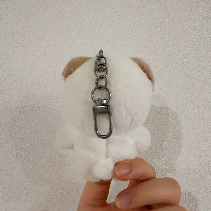 [BUNJANG] Day6 Dowoon Doll Ppedooni / 데이식스 도운 인형 쁘돈이