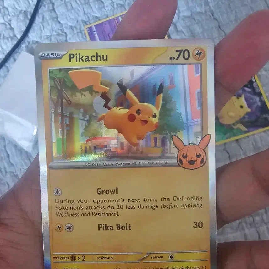 [BUNJANG] Pokemon Card Halloween Gengar Bundle Set / 포켓몬 카드 할로윈 팬텀 외