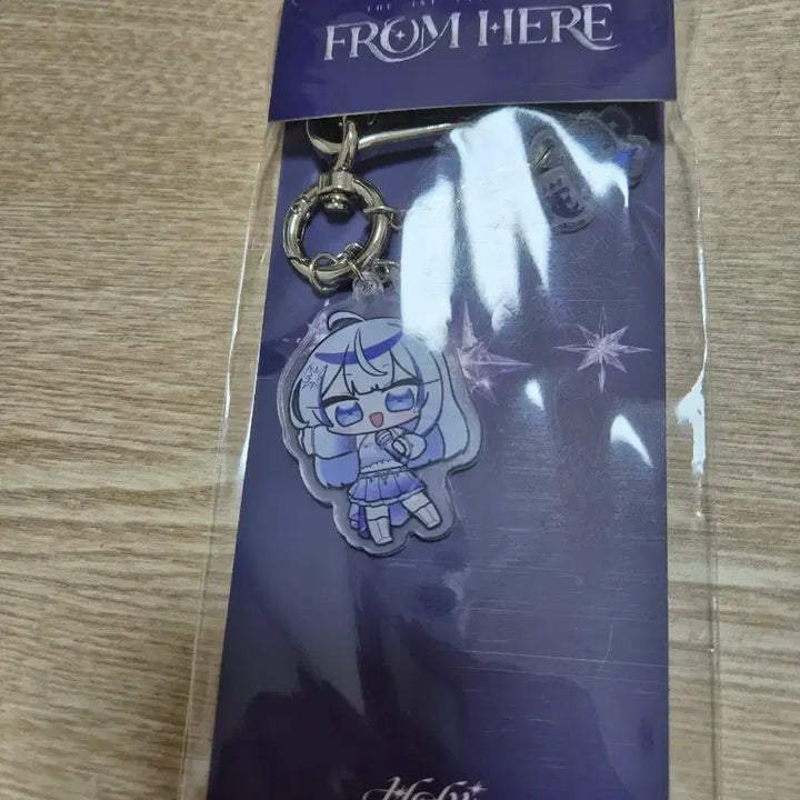 [BUNJANG] Hebi Concert Acrylic Keyring / Hebi 콘서트 3단 아크릴키링 판매