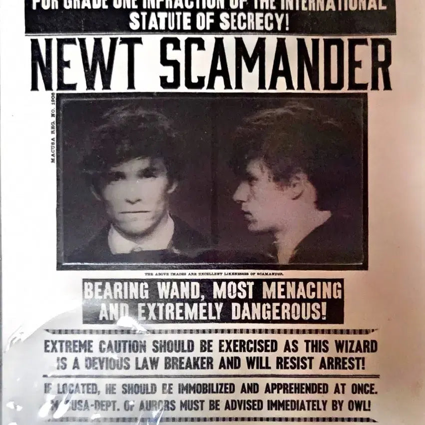 [BUNJANG] Fantastic Beasts Newt Scamander Holographic Postcard / 신비한 동물사전 뉴트 스캐맨더 홀로그램 엽서