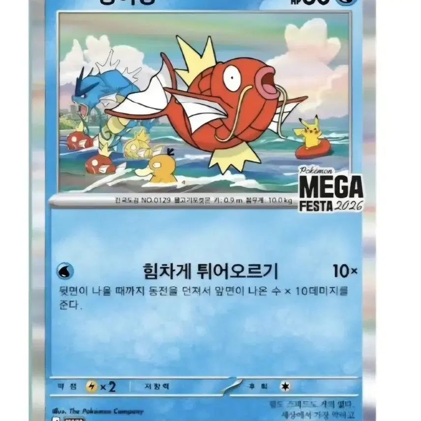 [BUNJANG] Pokemon Magikarp Promo Card 2-Card Set / 포켓몬스터 잉어킹 프로모  카드 2장 미개봉