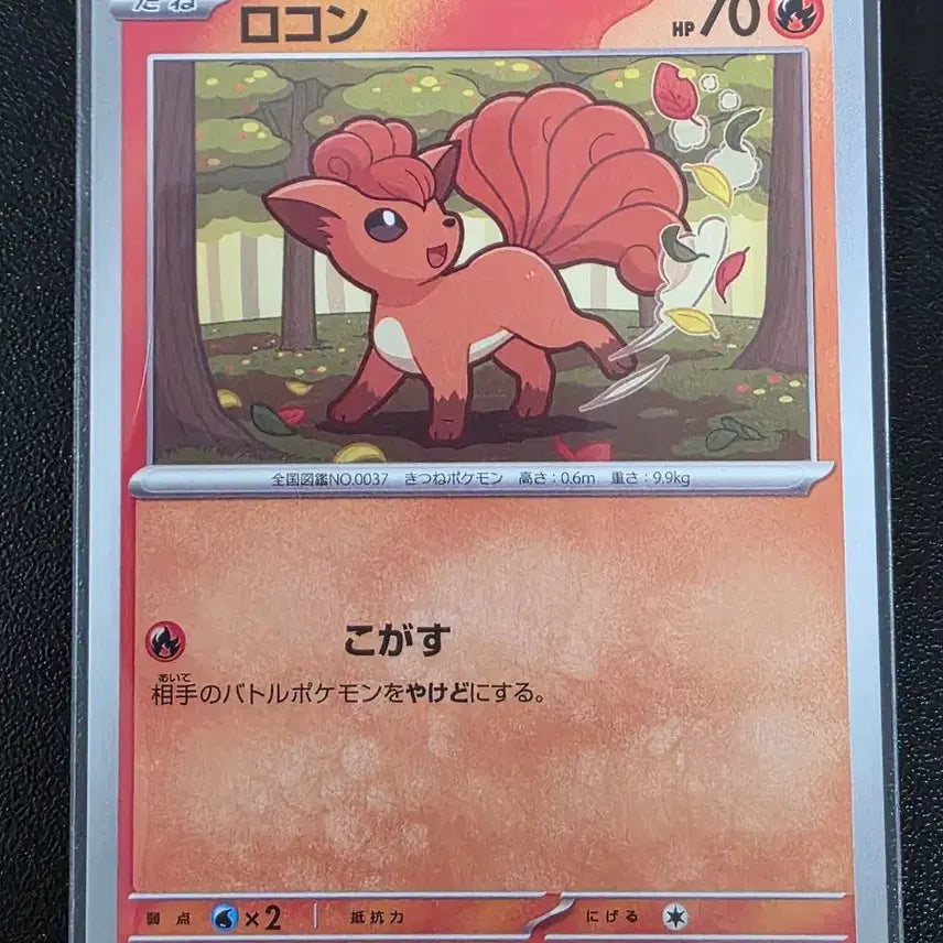 [BUNJANG] Pokemon Card Vulpix C Ninja Spinner Japanese Edition / 포켓몬 카드 식스테일 C 닌자 스피너 (일어판)