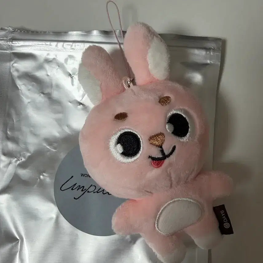 [BUNJANG] DAY6 Young K Unfiltered MD Secret Keyring Melong K / 원필 언필터드 엠디 시크릿 키링 메롱필