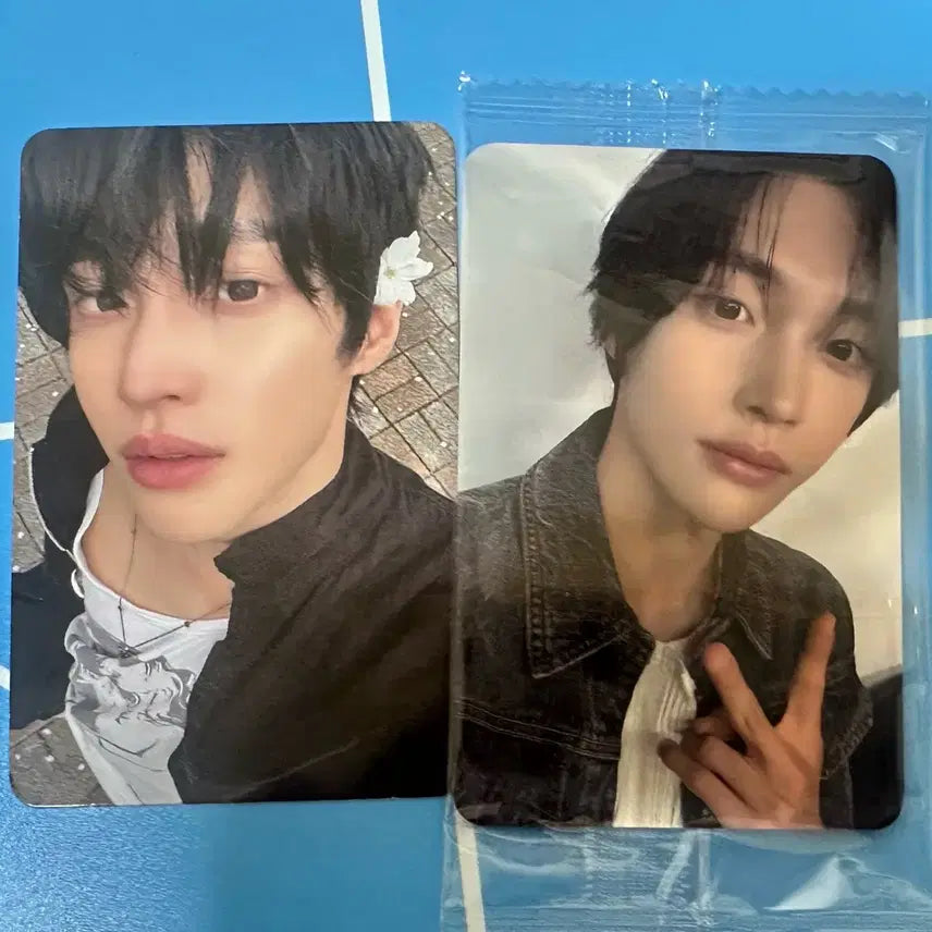 [BUNJANG] Ktown4u On-Site Wear Photobook Photocard - Cherry Blossom Wonbin / 케타포 당일착장 포카 포토북 벚꽃 원빈