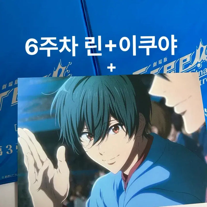 [BUNJANG] Free! The Final Stroke Part 1 6th Week Theater Postcard Card Bundle Set - Rin &amp; Ikuya / 일괄) 프리free!전편 6주차 특전 린 이쿠야 극장판 엽서 카드