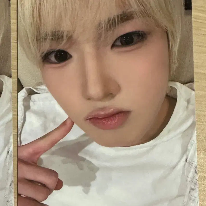 [BUNJANG] NCT WISH Sakuya Kmonstar Taipei Lucky Draw Photocard / 엔시티 위시 사쿠야 대만 타이페이 케이몬스타 럭드 포카