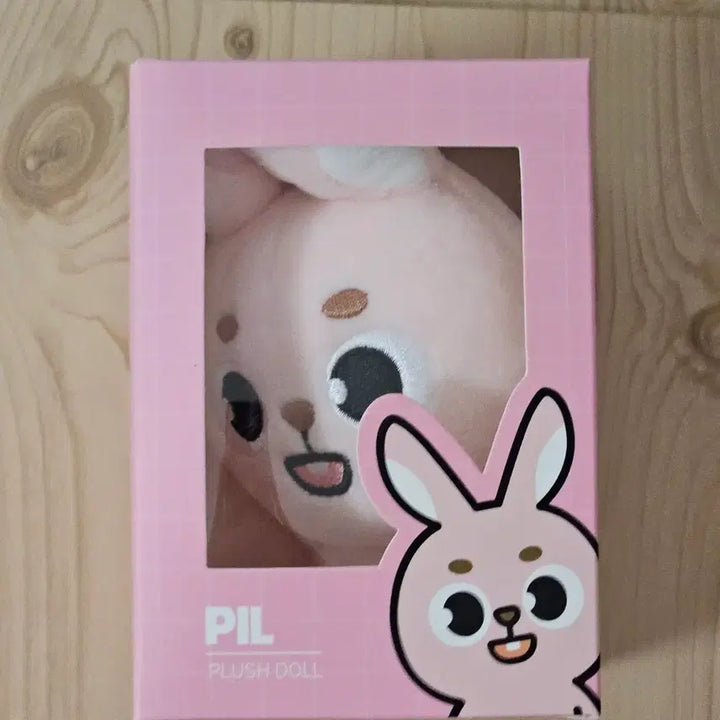 [BUNJANG] DAY6 Wonpil Danimals PhilPhil Photocard Holder (Sealed) / (미개봉) day6 데이식스 24 데니멀즈 필 원필 필끼