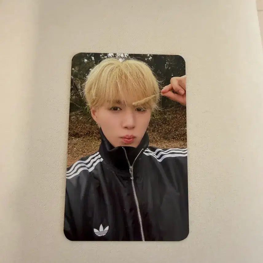 [BUNJANG] ALPHADRIVE1 Junseo OMG Recording Photocard / 알디원 알파드라이브원 준서 공방 포카 오엠지 사녹 김준서
