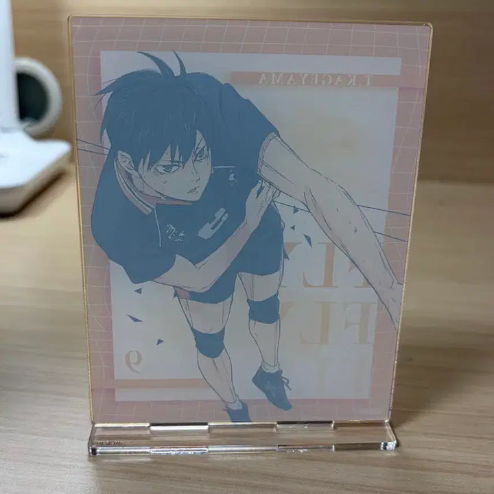 [BUNJANG] Haikyuu!! Kageyama Tobio Acrylic Stand / 하이큐 아크릴스탠드 카게야마 토비오