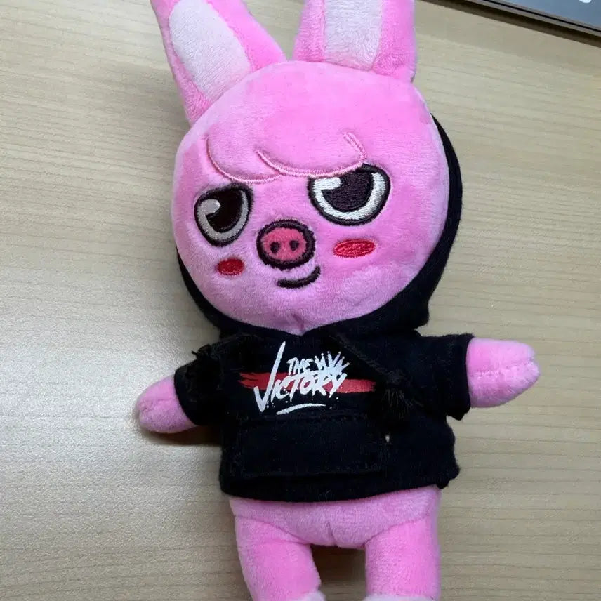 [BUNJANG] Stray Kids Changbin Dwaekki The Victory Doll (15cm) / 스트레이키즈 스키주 창빈 돼끼 빅토리 인형 판매합니다.