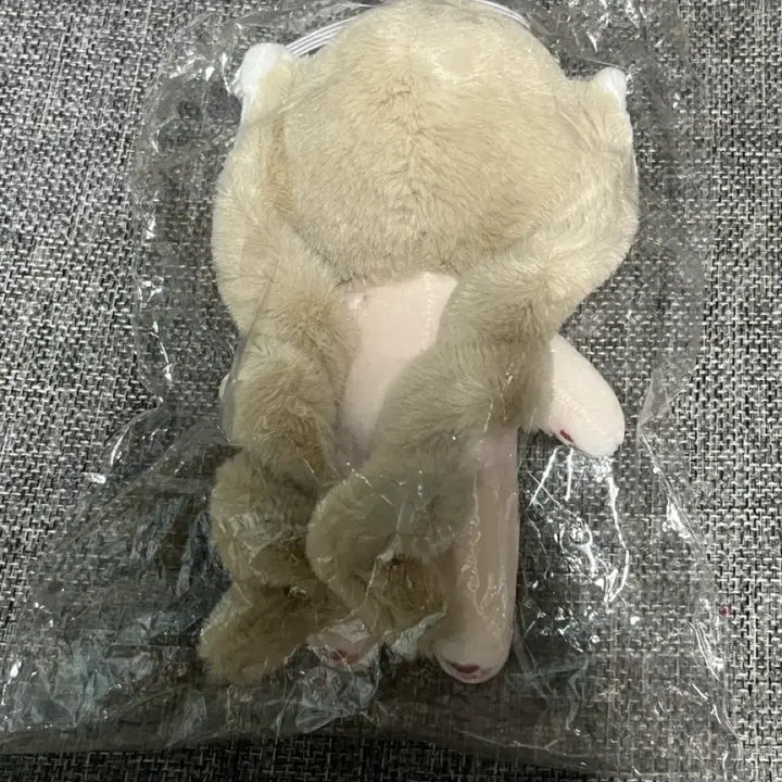 [BUNJANG] Unbranded 10cm Long-Body Ragdoll Cat Plush / 무속성 렉돌쮸비 롱바디 10cm