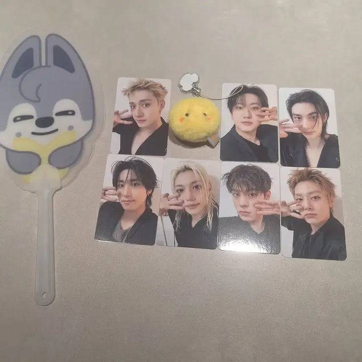 [BUNJANG] Stray Kids SKZ 2024 Concert Stay Zone Photocard Set (Lee Know Excluded) / 7/29 스키즈 콘서트 입장 포카 기프트 (리노x)스테이존 straykids skz