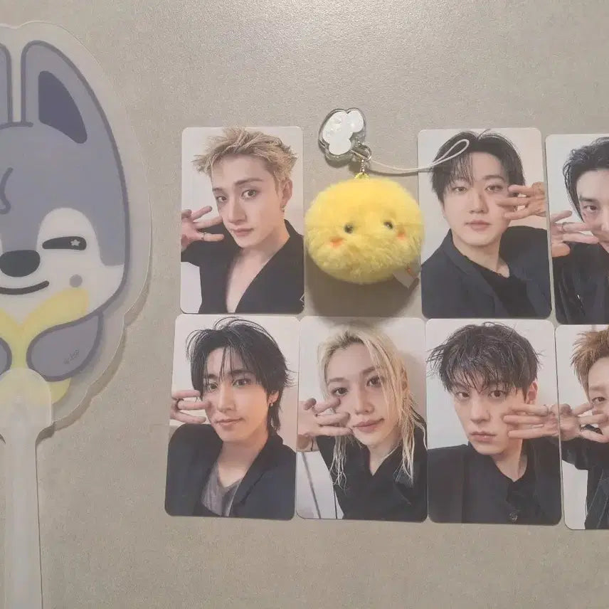 [BUNJANG] Stray Kids SKZ 2024 Concert Stay Zone Photocard Set (Lee Know Excluded) / 7/29 스키즈 콘서트 입장 포카 기프트 (리노x)스테이존 straykids skz