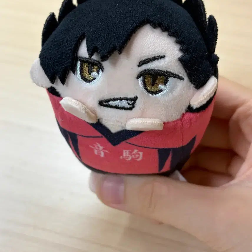 [BUNJANG] Haikyuu!! Kuroo Plush Doll / 하이큐 쿠로오 인형