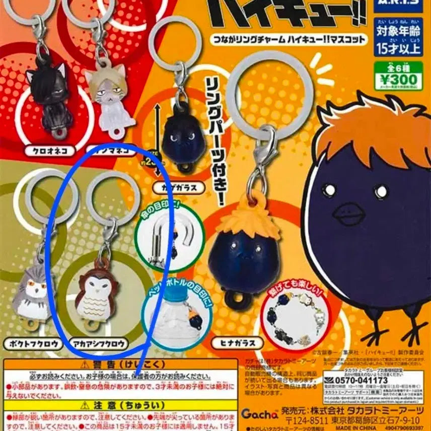 [BUNJANG] Haikyu!! Akashi Mezurushi / 하이큐 메지루시 아카아시