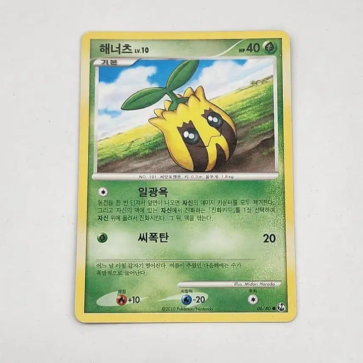 [BUNJANG] Pokemon Card Set - Ancient Cards / 포켓몬카드 해너츠 dp 고대카드