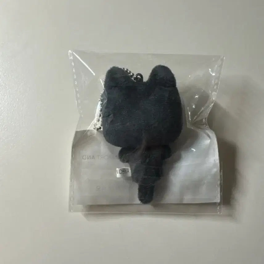 [BUNJANG] BOYNEXTDOOR Tae San "Tae-nya-ko" 7cm Doll / 보넥도 보이넥스트도어 한태산 인형 태냐코 7nm