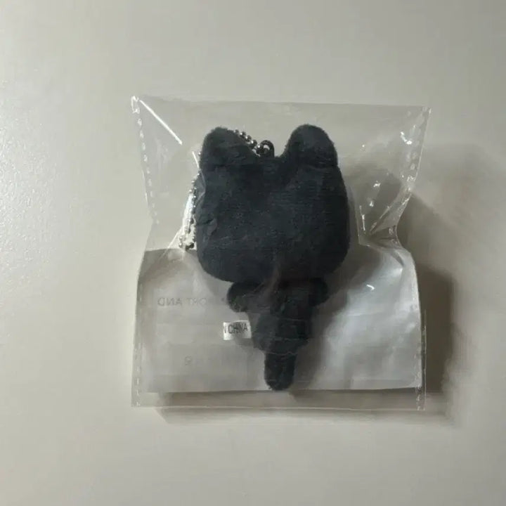 [BUNJANG] BOYNEXTDOOR Tae San "Tae-nya-ko" 7cm Doll / 보넥도 보이넥스트도어 한태산 인형 태냐코 7nm