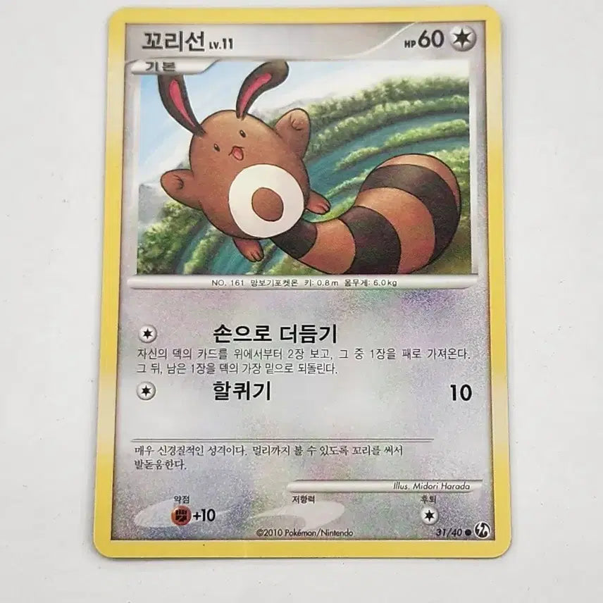 [BUNJANG] Pokemon Card Tailor DP Ancient Card / 포켓몬카드 꼬리선 dp 고대카드