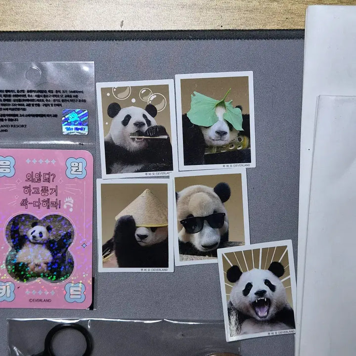[BUNJANG] Everland Panda Goods Bundle Set / 에버랜드 판다굿즈 일괄판매
