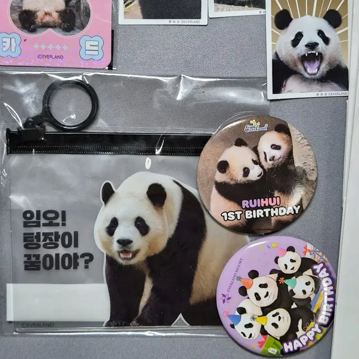 [BUNJANG] Everland Panda Goods Bundle Set / 에버랜드 판다굿즈 일괄판매