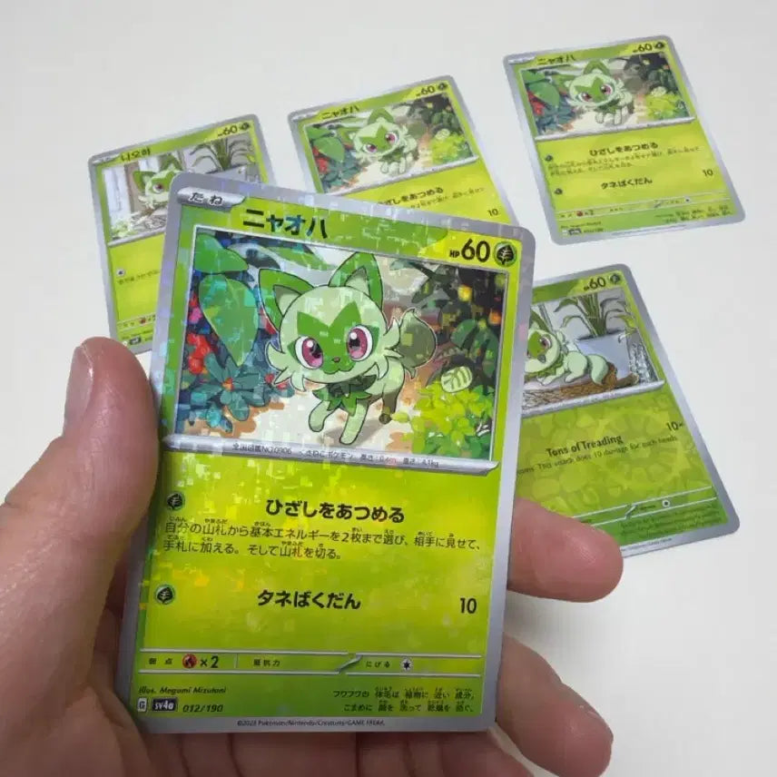[BUNJANG] Pokemon Cards Ha-u 5-Card Set / 포켓몬카드 나오하 5장 세트