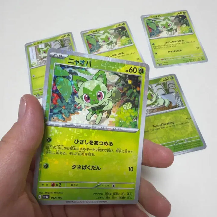 [BUNJANG] Pokemon Cards Ha-u 5-Card Set / 포켓몬카드 나오하 5장 세트