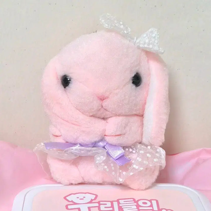 [BUNJANG] Amuse Pink Ballerina Lace Ribbon Poteusa Lotty Mascot Doll Keyring / 고전 빈티지 어뮤즈 아뮤즈 핑크 발레리나 레이스 리본 포테우사 롯삐 마스코트 인형 키링